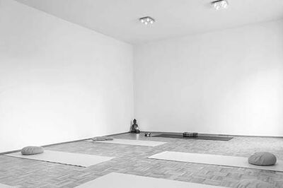 Yoga in Braunschweig, Yoga Kurse in Braunschweig, Yogaausbildung, Yogalehrausbildung, Ausbildung, Yoga Workshops, solis Yoga, Yogaschule SOLIS