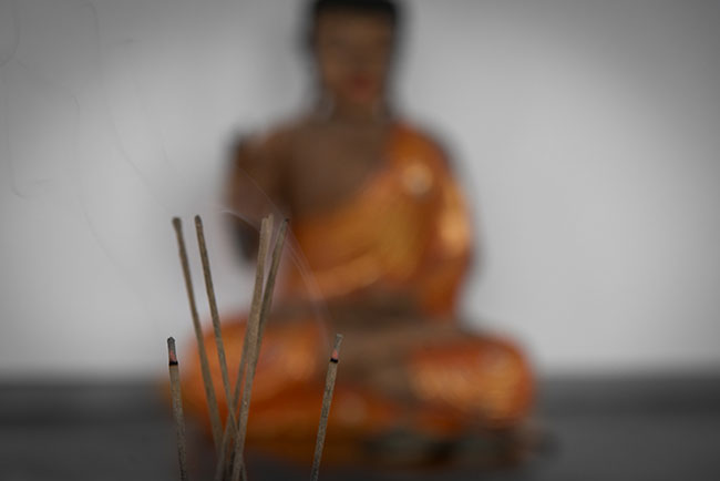 Yogaschule SOLIS News